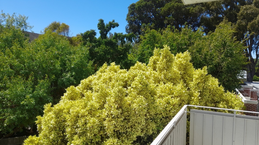 3 Bedroom Property for Sale in Kenilworth Western Cape